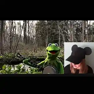 Picture for song 'rainbowconnectionkermitthefrogfeatrqm+featretsej' by artist 'Eminem 2'