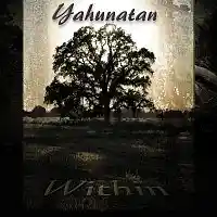 Picture for song 'Metamorphosis (2017 Remaster)' by artist 'Yahunatan'