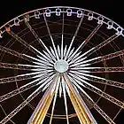 Picture for song 'ONE WHEEL' by artist 'MotionGo'