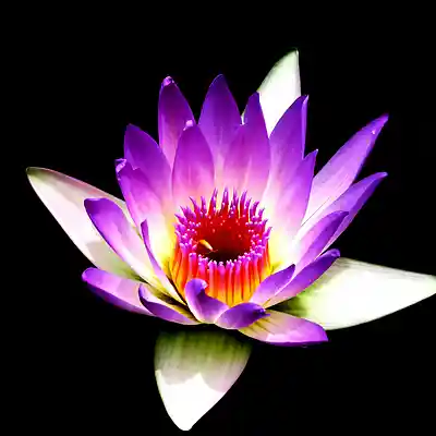 Picture for song 'Don Toliver type beat - Mood' by artist 'Nicodemosmusic-1'