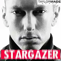 Picture for song 'StarGazer ' by artist 'TaylorMadeBeatz'