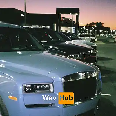 Picture for song 'High Life (Loe Shimmy x Veeze)' by artist 'Wav Hub'