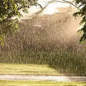 Picture for song 'The Rain Do Shine' by artist 'XL73'
