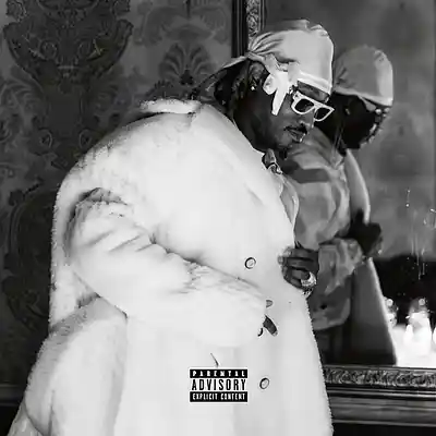 Song picture of 'NEW/Nurse Future'