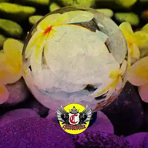 Picture for song 'MARBLE (The Kid LAROI Type Beat)' by artist 'Chorderline'