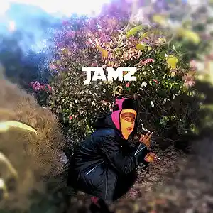 Picture for song 'badlands' by artist 'Jamz Ex'