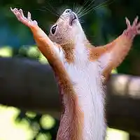 Picture for song 'Why me lord' by artist 'Paddy McConnell family and friends'