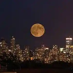 Picture for song 'MoonLight Produced by BeatsByLc instrumental drake' by artist 'BeatsByLc'