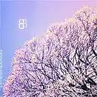 Picture for song 'Ice is white and explodes' by artist 'Butt3rfly'