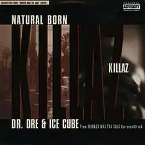 Picture for song 'natural born killa' by artist 'Lowbrow'