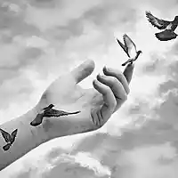 Picture for song 'Trajic - Learning To Let Go' by artist 'Lyrikal Wizardry (G-wiz)'