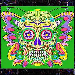 Picture for song 'MY INNER CHILD HAS AWAKEN' by artist 'MINROO ARTS 4XXFUNK'