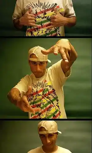 Artist picture