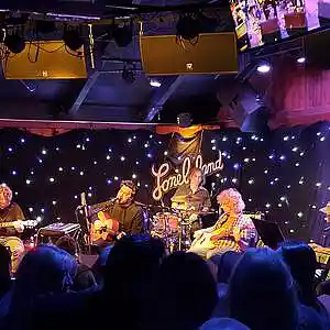 Picture for song 'Bob Schneider at The Saxon Pub: Bootleg #4' by artist 'paul gorman and the hypnotist collectors'