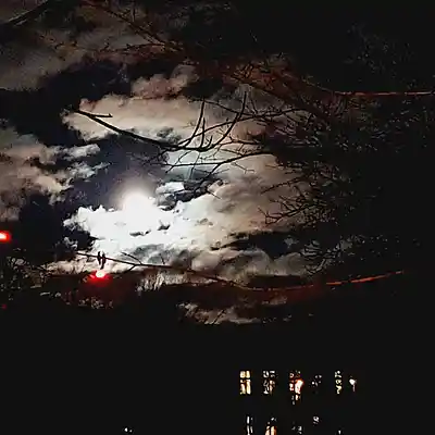 Picture for song '23.08.2024' by artist 'Restsound'