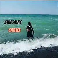 Song picture