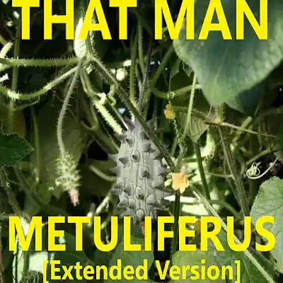Picture for song 'BONUS TRACK Metuliferus [Extended Version]' by artist 'That Man'