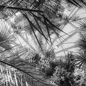 Picture for song 'LOVERS Chill Hip Hop Good Vibes type Beat' by artist 'Zalfprod'