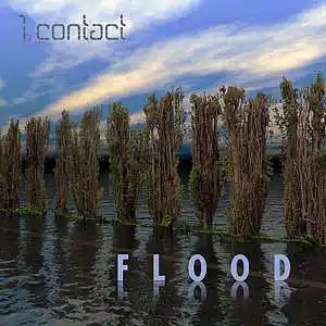 Picture for song 'Flood' by artist '1st Contact'