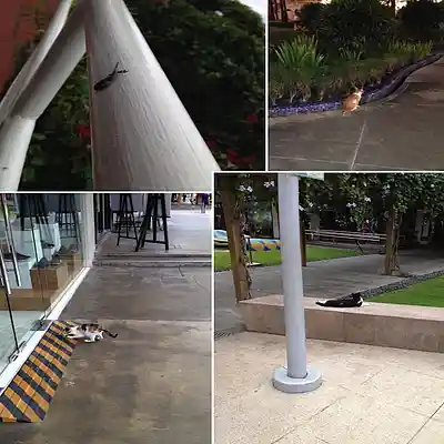 Picture for song 'I Love Rhyming Ill' by artist 'Al Dionisio'