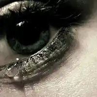 Picture for song 'Why You Care (Beat Sold)' by artist 'Mozart Jones Productions (Mozarts Beats)'