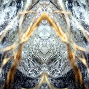 Picture for song 'Nemesis-dnb This Will Be instrumental' by artist 'Nemesisdnb'