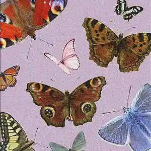 Picture for song 'Mood' by artist 'pandamusic'