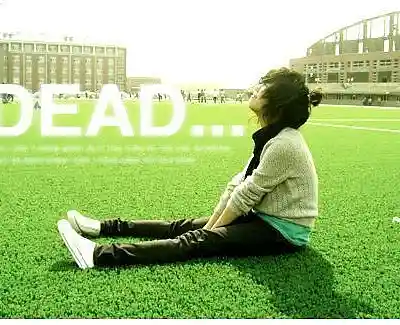cover pic