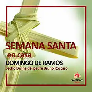 Picture for song 'Semana Santa en Casa-Domingo de Ramos' by artist 'Producciones Vandor'