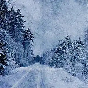 Picture for song '[FREE FOR PROFIT BEAT] Snow Show (NO TAGS)' by artist 'ROGARDFUL'