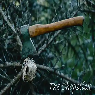 Picture for song 'The Chopstick' by artist 'Sean Ferree'