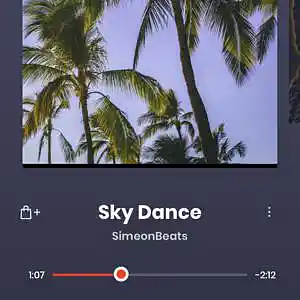 Picture for song 'Sky Dance' by artist 'SimeonBeats'