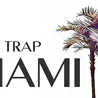 Picture for song 'MIAMI TRAP *FREE DOWNLOAD*' by artist 'soSpecial'
