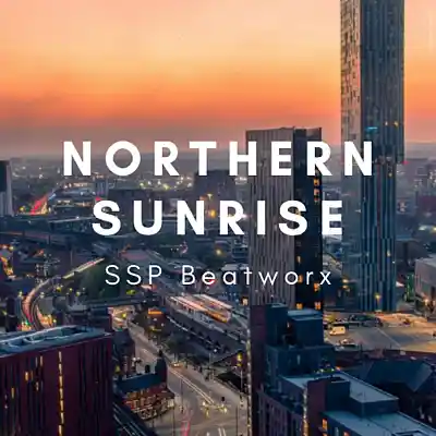 Picture for song 'Northern Sunrise - Horror Core type beat' by artist 'SSP Beatworx'