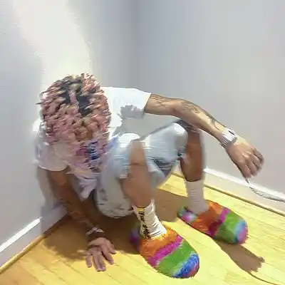 Picture for song 'Pierre Bourne x Playboi Carti x Lucki Type Beat' by artist 'syobangz'