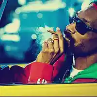 Picture for song 'Smoke Sesh- Snoop Style' by artist 'TheBeatSource'