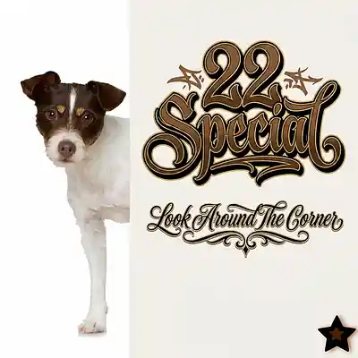 Picture for song 'Look Around The Corner' by artist '22 SPECIAL'