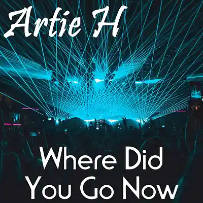 Picture for song 'Where Did You Go Now' by artist 'Artie H'