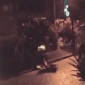 Picture for song 'like a butterfly' by artist 'Clivey Macdougall'