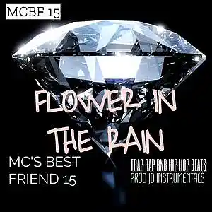 Picture for song 'FLOWER IN THE RAIN 127 FMAJ' by artist 'Jd Instrumentals'