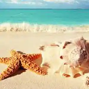 Picture for song 'Stranded2' by artist 'Johanna Renfro'