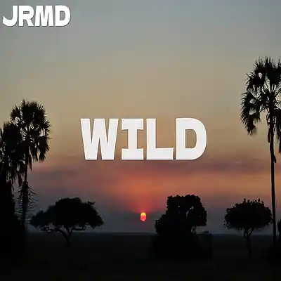 Picture for song 'Wild (Afrobeat x Afropop Type Beat)' by artist 'Jrmd'