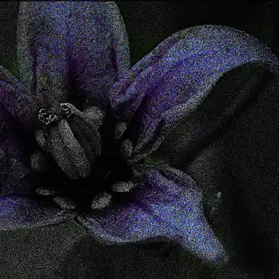 Song picture
