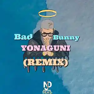 Picture for song 'Bad Bonny- YONAGUNI(Remix)' by artist 'Nadroj Beatz'