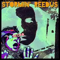 Picture for song 'Stormin Reedus' by artist 'Turtle Necromancer'