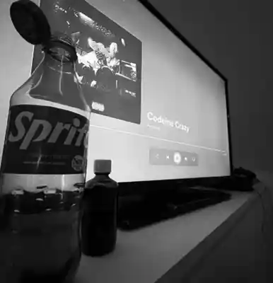 Picture for song 'PURPL3 DRANK' by artist 'ProdbyNihili'
