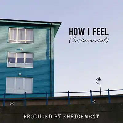 Picture for song 'How I Feel (Soulful / Storytelling / Hip Hop Beat)' by artist 'Enrichment'