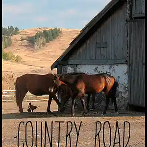Picture for song 'Lil Nas X | Old Town Road | Country road type beat' by artist 'Justin Prada'