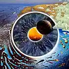 Picture for song 'a floydian slip' by artist 't polimeros'