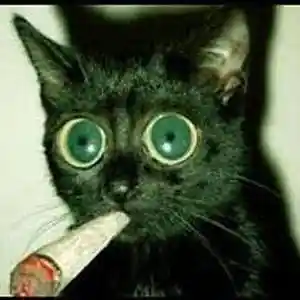 Picture for song 'MUTED SHOTS - Skepta x Pop Smoke x UK/NY Drill' by artist 'nolyrics music group'